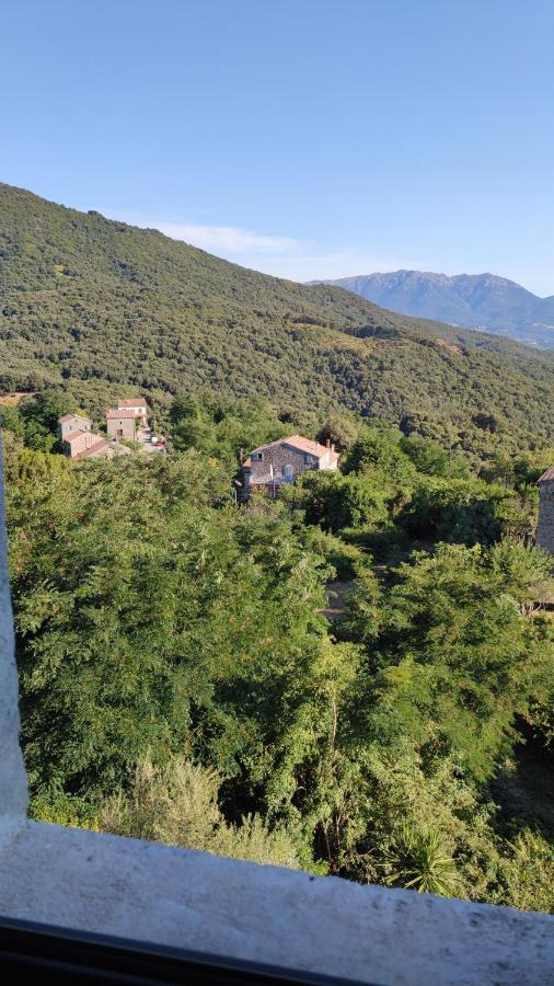 Casa Giacometti Grosseto-Prugna Exterior foto